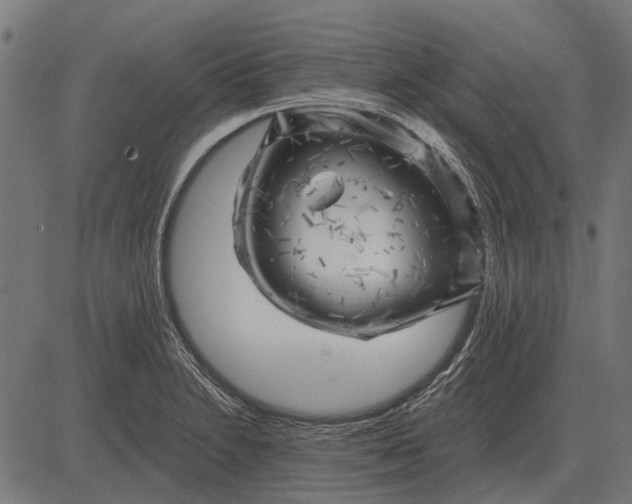 X0000082731230200702091829