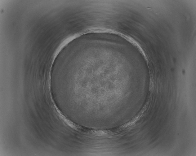 X0000082731231200702091829