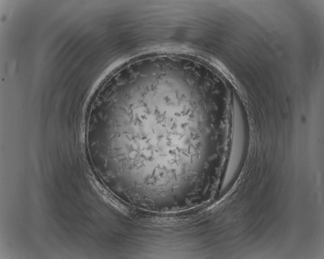 X0000082731232200702091829