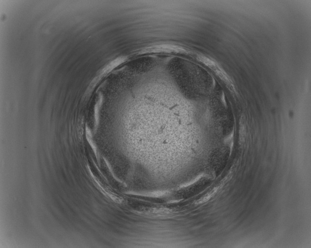 X0000082731233200702091829