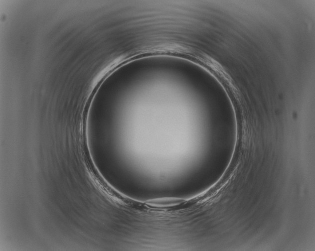 X0000082731234200702091829