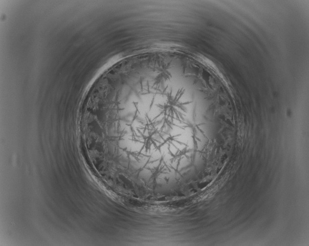 X0000082731235200702091829