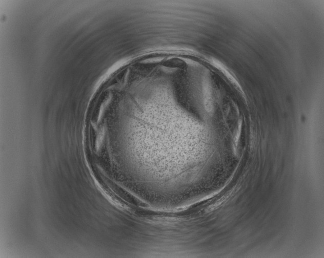 X0000082731237200702091829