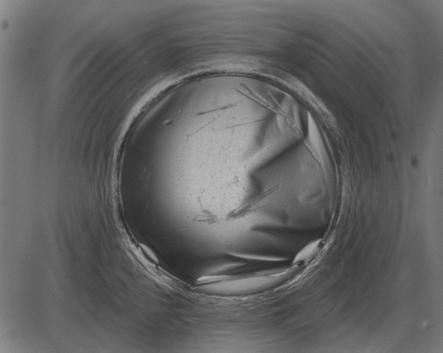 X0000082731240200702091829