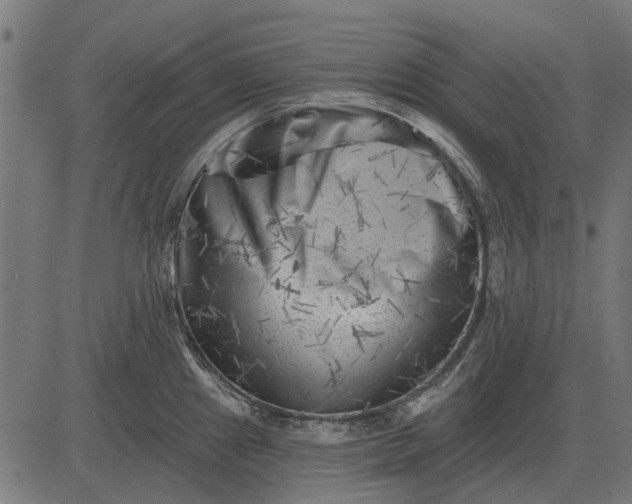 X0000082731241200702091829