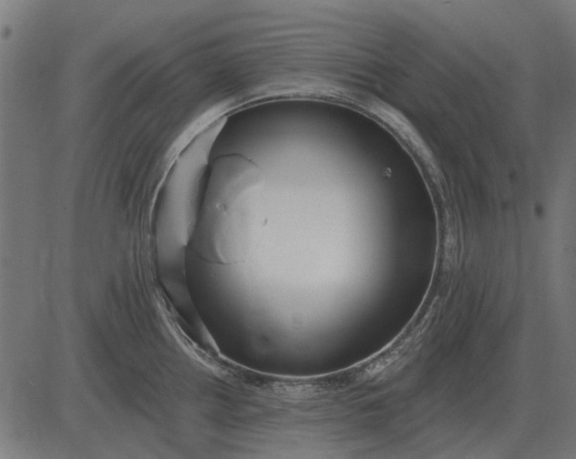 X0000082731242200702091830