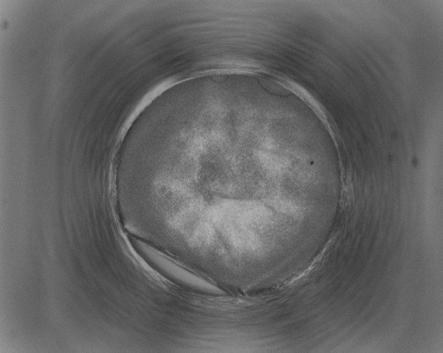 X0000082731243200702091830