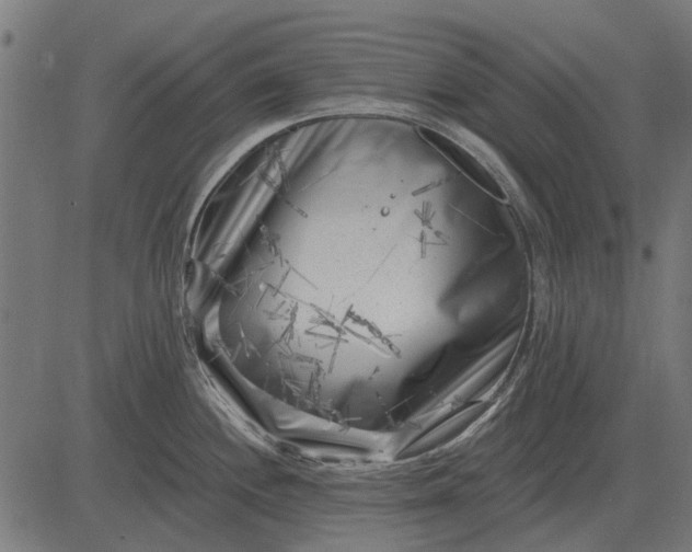 X0000082731244200702091830