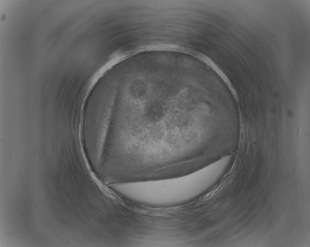 X0000082731245200702091830