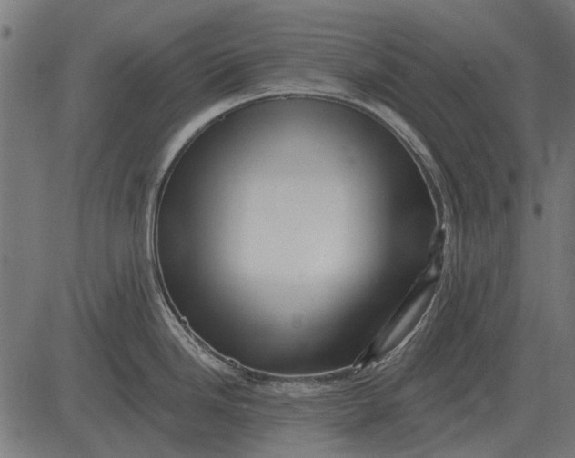 X0000082731246200702091830