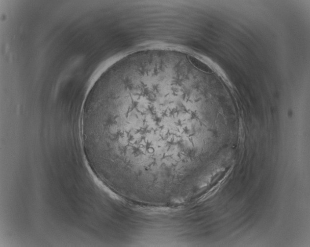 X0000082731247200702091830