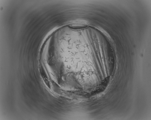 X0000082731248200702091830