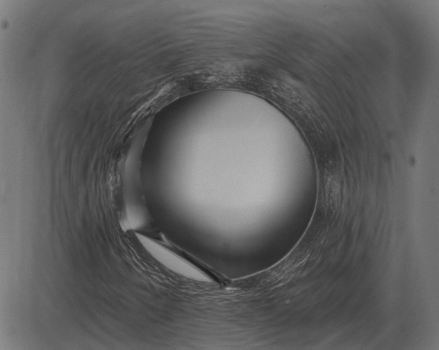 X0000082731250200702091829