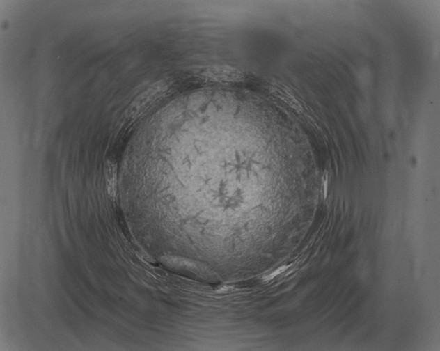 X0000082731251200702091829