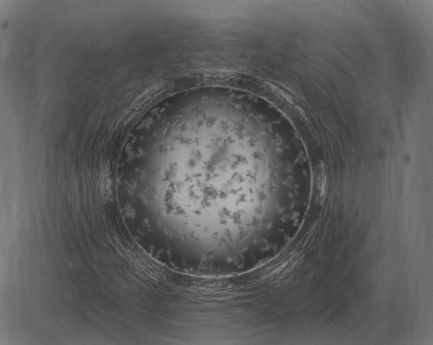 X0000082731252200702091829