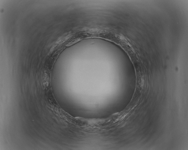 X0000082731253200702091829