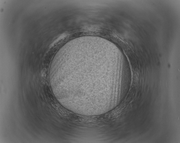 X0000082731254200702091829