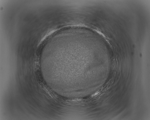 X0000082731255200702091829