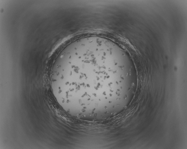 X0000082731256200702091829