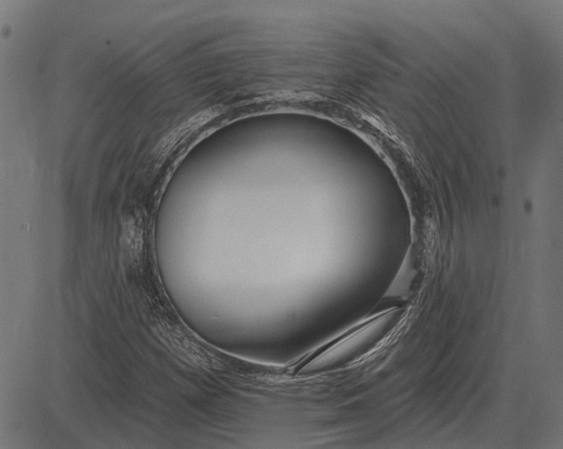 X0000082731257200702091829