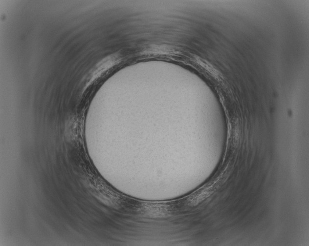 X0000082731258200702091829