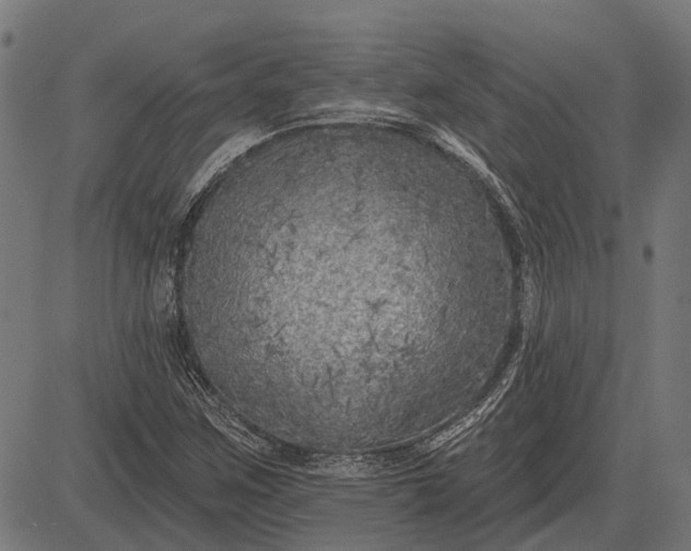 X0000082731259200702091829