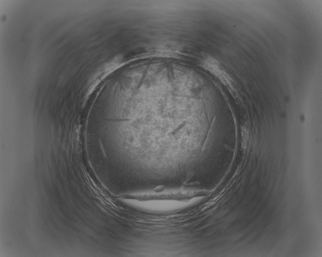 X0000082731260200702091829