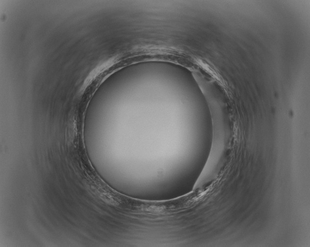 X0000082731261200702091829