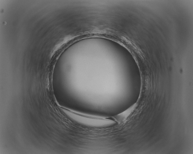 X0000082731262200702091829