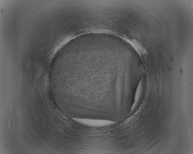 X0000082731263200702091829