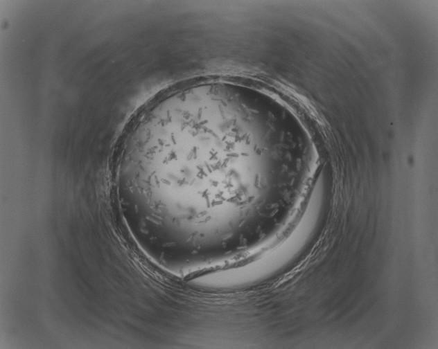 X0000082731264200702091829