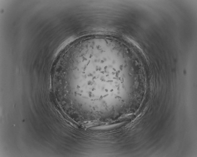 X0000082731267200702091829