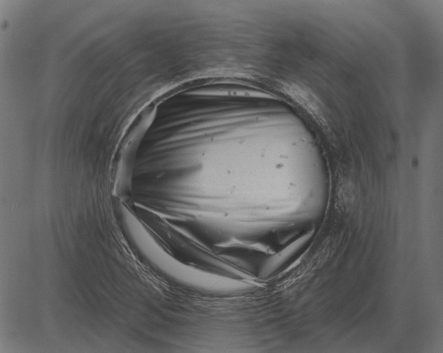 X0000082731268200702091829