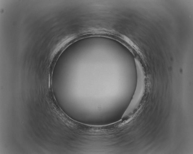 X0000082731269200702091829