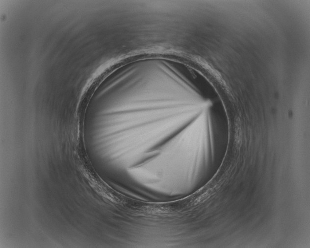 X0000082731270200702091828