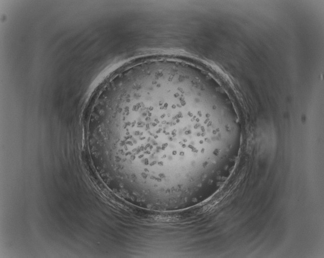 X0000082731271200702091828