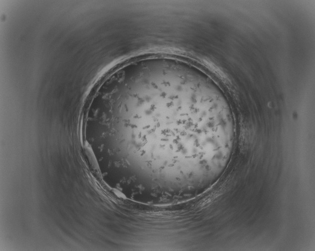 X0000082731272200702091828