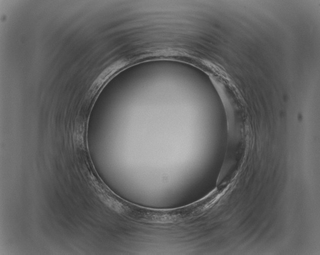 X0000082731273200702091828