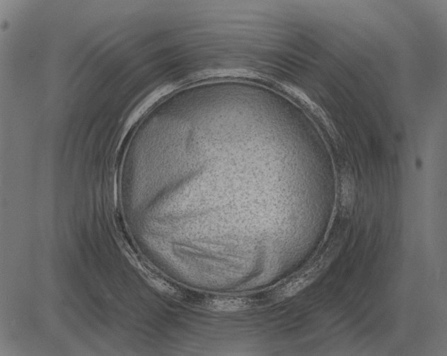 X0000082731274200702091828