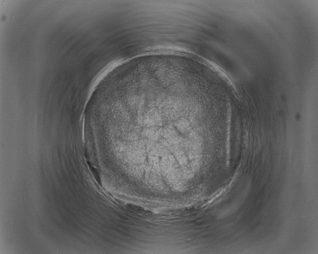 X0000082731275200702091828