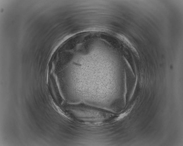 X0000082731276200702091828