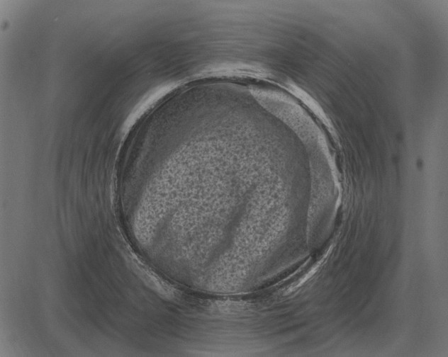 X0000082731277200702091828