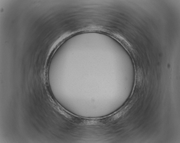 X0000082731278200702091828