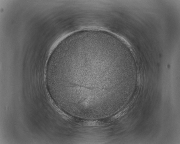 X0000082731279200702091828