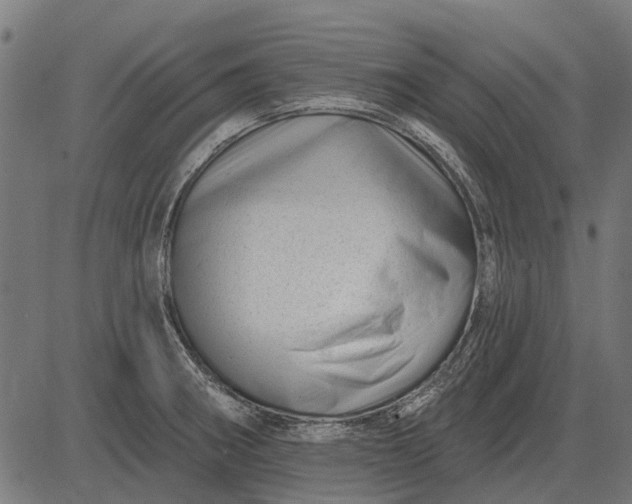 X0000082731282200702091828