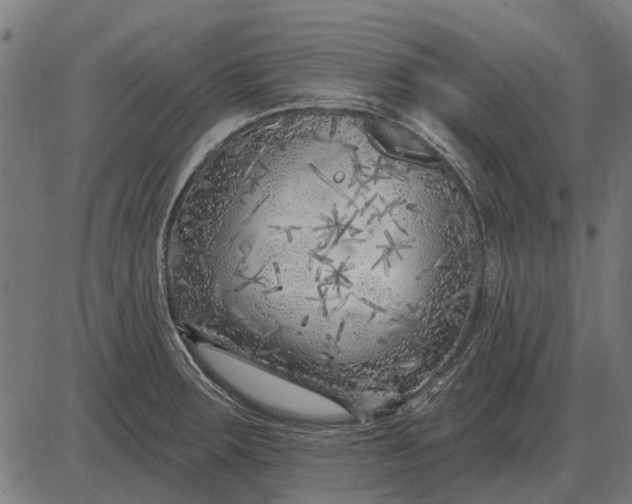 X0000082731283200702091828