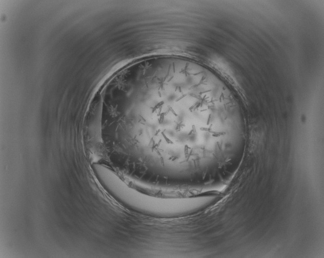 X0000082731284200702091828