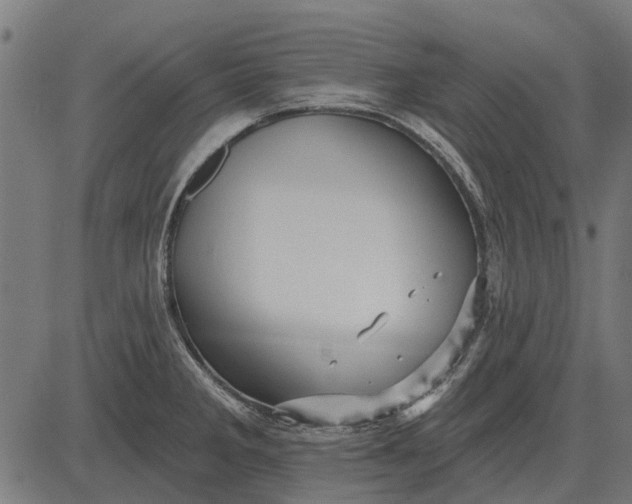 X0000082731285200702091828