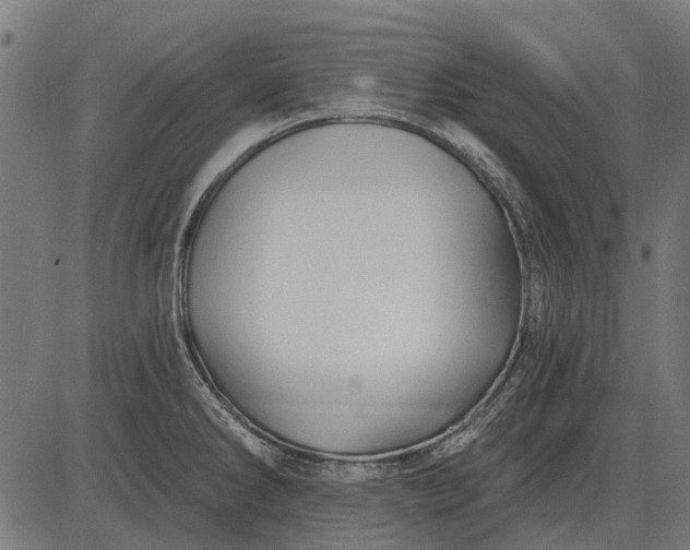 X0000082731286200702091828