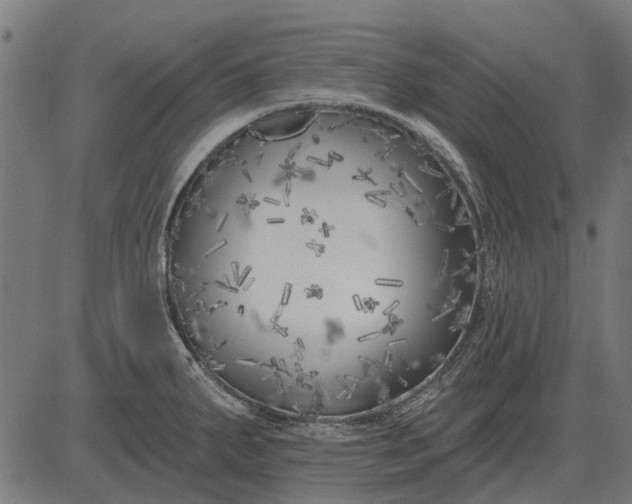 X0000082731287200702091828